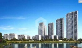 杭州临平爆料事件真相视频,真相视频背后的真相披露